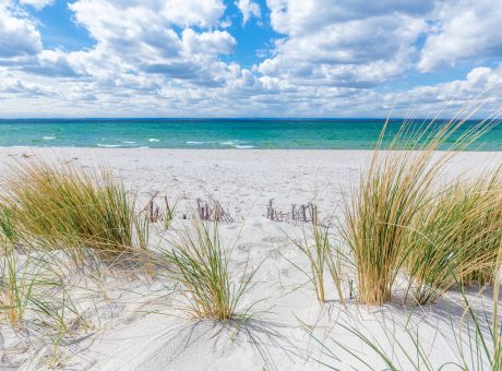 Baltic sea on the Polish coast with dune grass